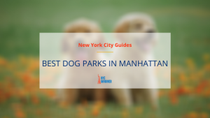 Best Dog Parks in Manhattan: 10 Best Off-Leash Dog Parks and Runs in NYC