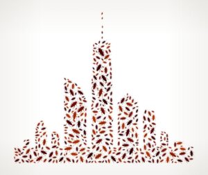 How To Get Rid Of Roaches In NYC: Spray It, Don’t Say It!