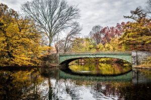 Safety First: Is Prospect Park Safe In 2025?
