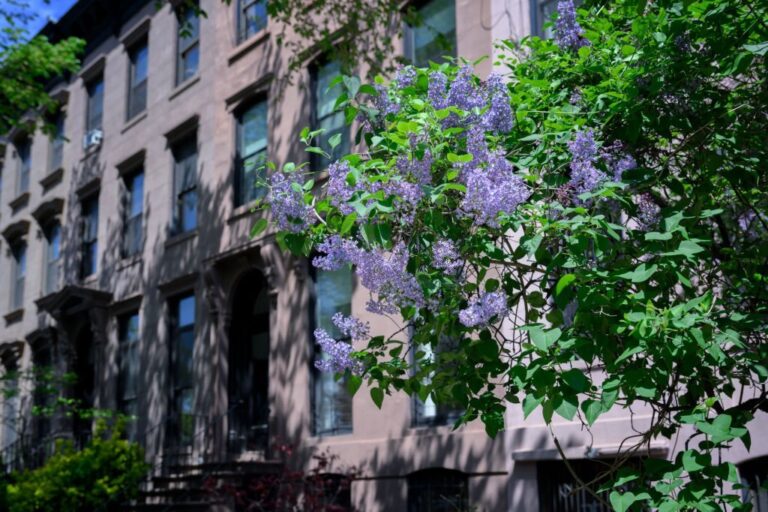 Safety First Is Prospect Park Safe In 2024? New York City Informer