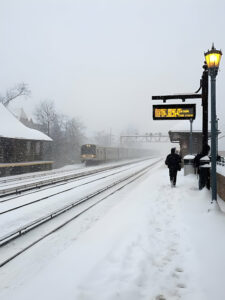Safety First: Is Forest Hills Safe In 2025?