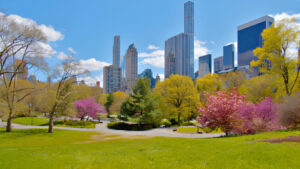 New York in May: Everything You Need To Know