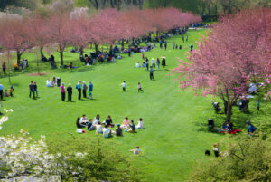 March Madness: The Ultimate New York Itinerary for Spring Travelers
