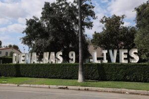 Balancing Recovery and Safety: The Complex Aftermath of LA’s Historic Wildfire Cleanup