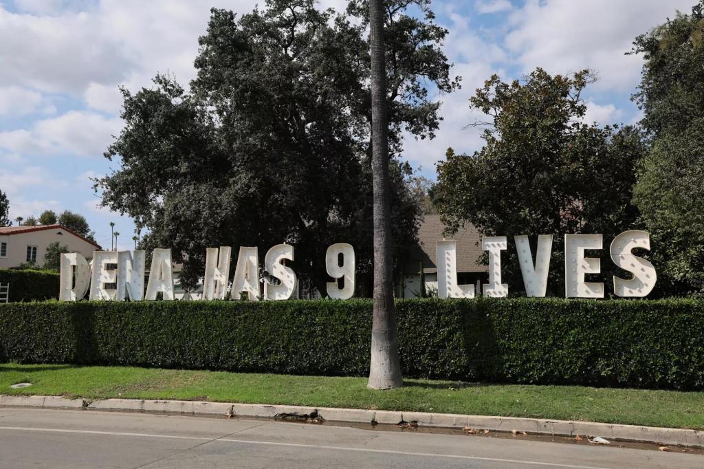 Balancing Recovery and Safety: The Complex Aftermath of LA’s Historic Wildfire Cleanup