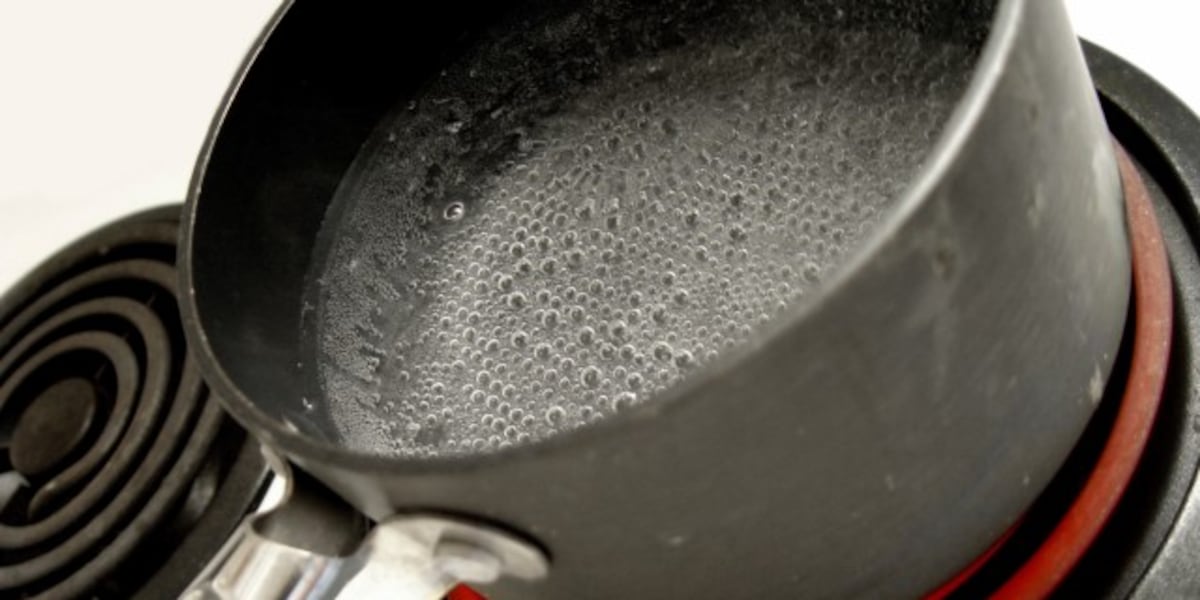 Water Safety Crisis: Andrews, South Carolina Residents Face Boil Water Emergency Across Two Counties