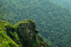 Why Idukki Should Be Your Next Slow Travel Destination in Kerala