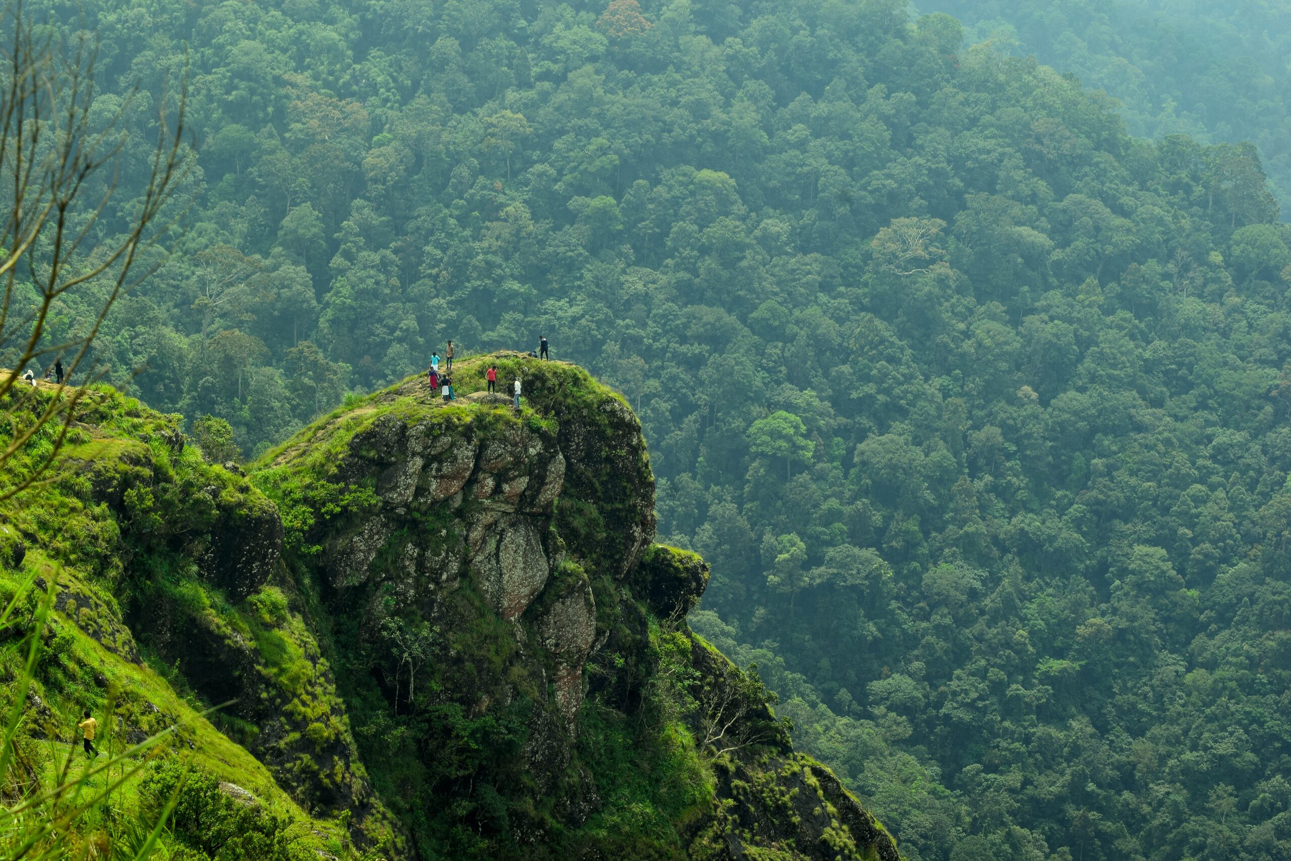 Why Idukki Should Be Your Next Slow Travel Destination in Kerala